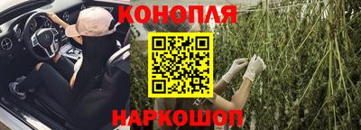 стаф Бузулук